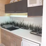 Apartment Park Jesionow - *