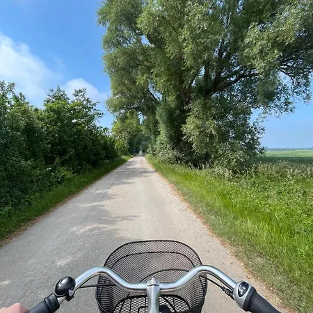 Park Jesionow - Pleśna