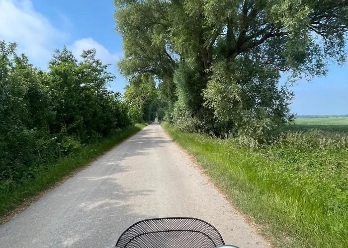 Park Jesionow - Pleśna